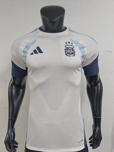 Playera de Entrenamiento Argentina 2026 Gris