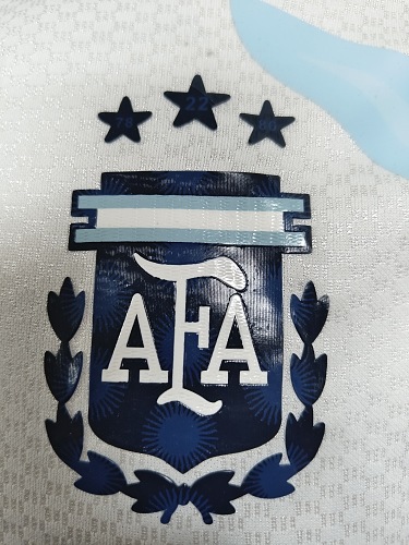 Playera de Entrenamiento Argentina 2026 Gris 2